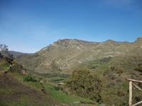 nte Mojo-30122011 023
